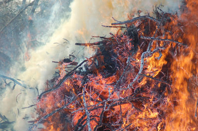 Close-up of fire in water