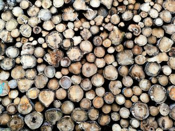 Full frame shot of logs in forest