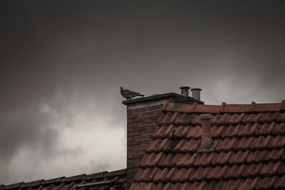 Low angle view of bird on house roof against cloudy sky