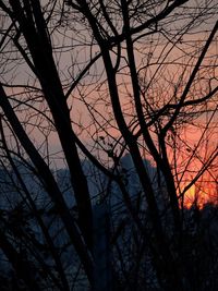 Low angle view of silhouette bare trees against sky