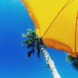 Low angle view of tree against clear blue sky