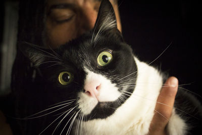 Portrait of black and white cat with pink nose. very calm situation