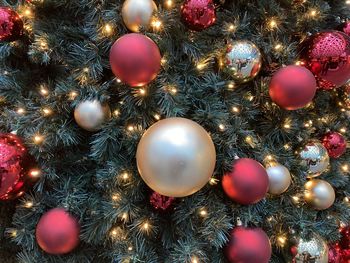 Full frame shot of illuminated christmas tree