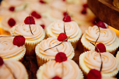 Close-up of cupcakes