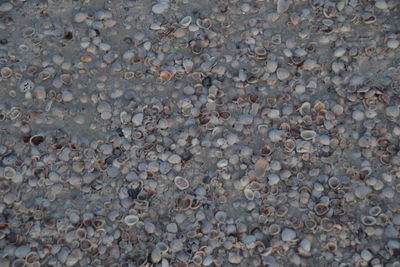 Full frame of pebbles