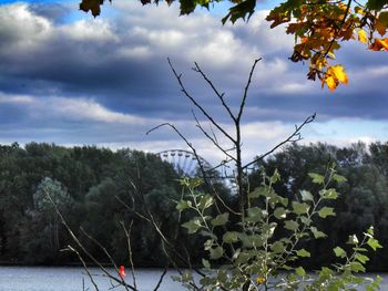 Scenic view of landscape against cloudy sky