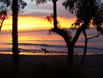 Silhouette trees on shore against sky during sunset