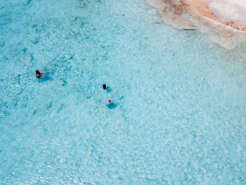 High angle view of people swimming in pool