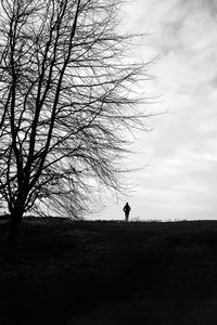 Silhouette bare tree on field against sky