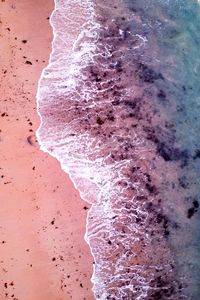 Close-up of pink water on beach