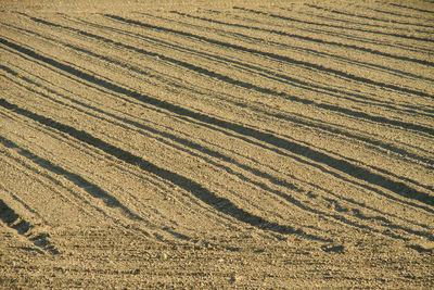 Full frame shot of agricultural field