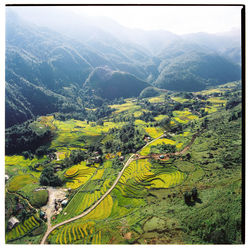 High angle view of a field