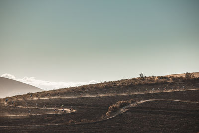 Scenic view of landscape against clear sky