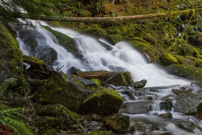 Scenic view of waterfall