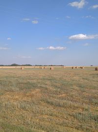 Hay bales on field against sky