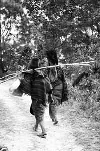 View of trees in the dark