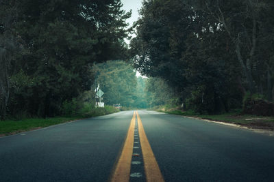 Empty road amidst trees