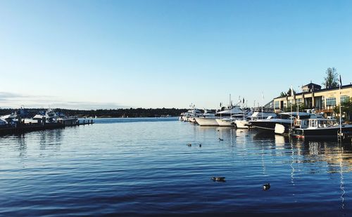 Sailboats moored in harbor against clear blue sky