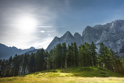Scenic view of trees and mountains against sky