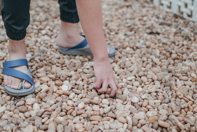 Low section of man picking pebbles