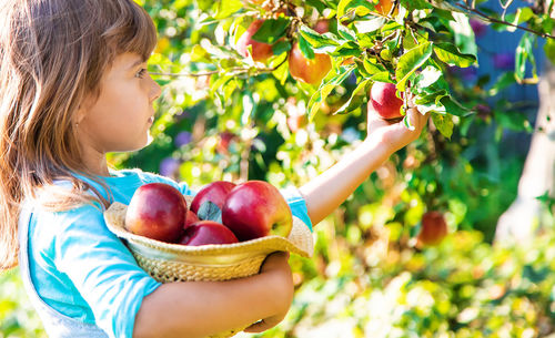 Close-up of young woman holding apples