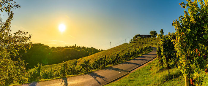 Scenic view of agricultural field against sky during sunset