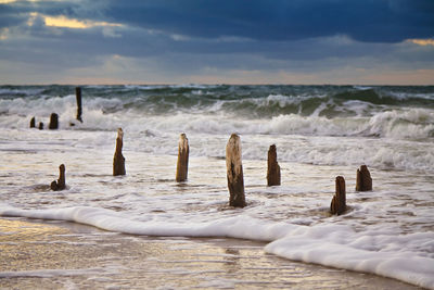 View of wooden posts on beach