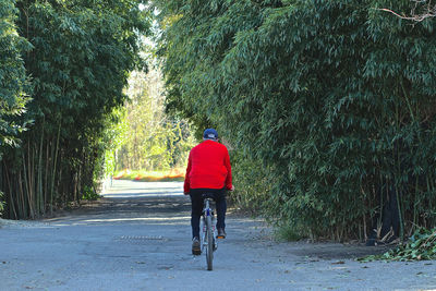 Rear view of man riding bicycle on road