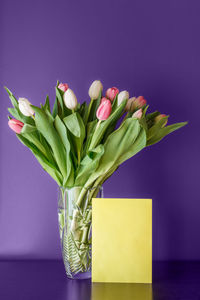 Close-up of flowers in vase on table