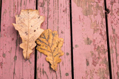 High angle view of maple leaf on wooden table