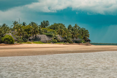 Scenic view of a beach and palm trees and aresort at manda island in lamu archipelago, kenya