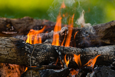 Close-up of fire on log