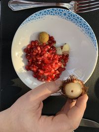 High angle view of person holding fruits