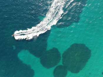 High angle view of fish in sea