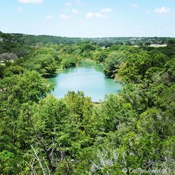 Scenic view of river with trees in background