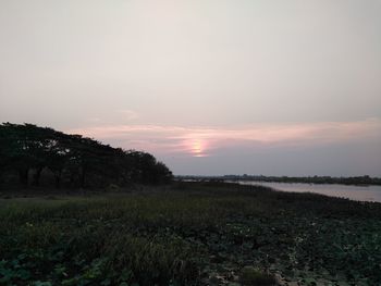 Scenic view of field against sky during sunset