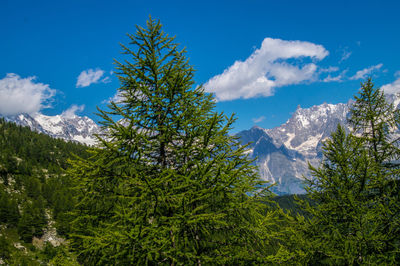 Lake of arpy in val aoste in italy