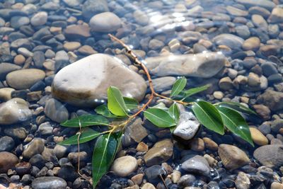 High angle view of stones on shore