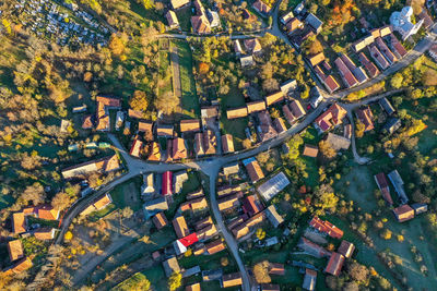 Aerial view of trees and townscape