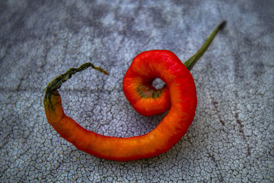 High angle view of orange on plate