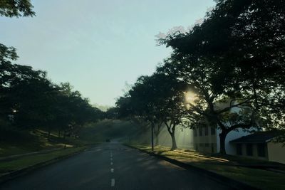 Road amidst trees against sky in city