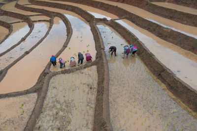 High angle view of people at beach