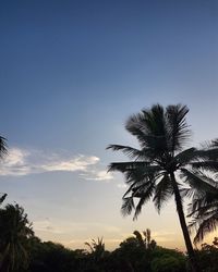 Silhouette palm trees against sky during sunset