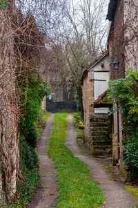 Road passing through a house