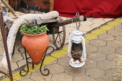 High angle view of potted plant on street