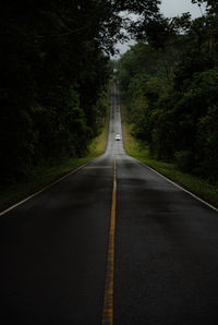 Empty road amidst trees in forest