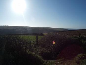 Scenic view of grassy field against sky