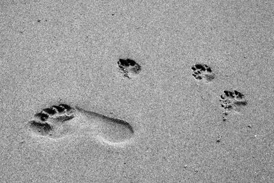 High angle view of footprints on sandy beach