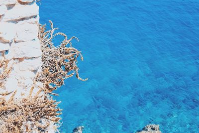 High angle view of blue sea by wall