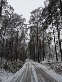 Road amidst trees against sky in winter